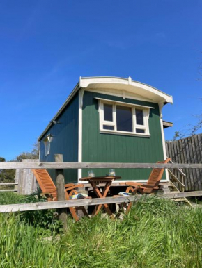 Miners_meadow self contained Shepherds hut